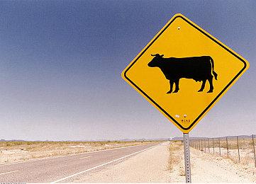 罗布乐思AI聊天审核效果不错 但没法替代真人